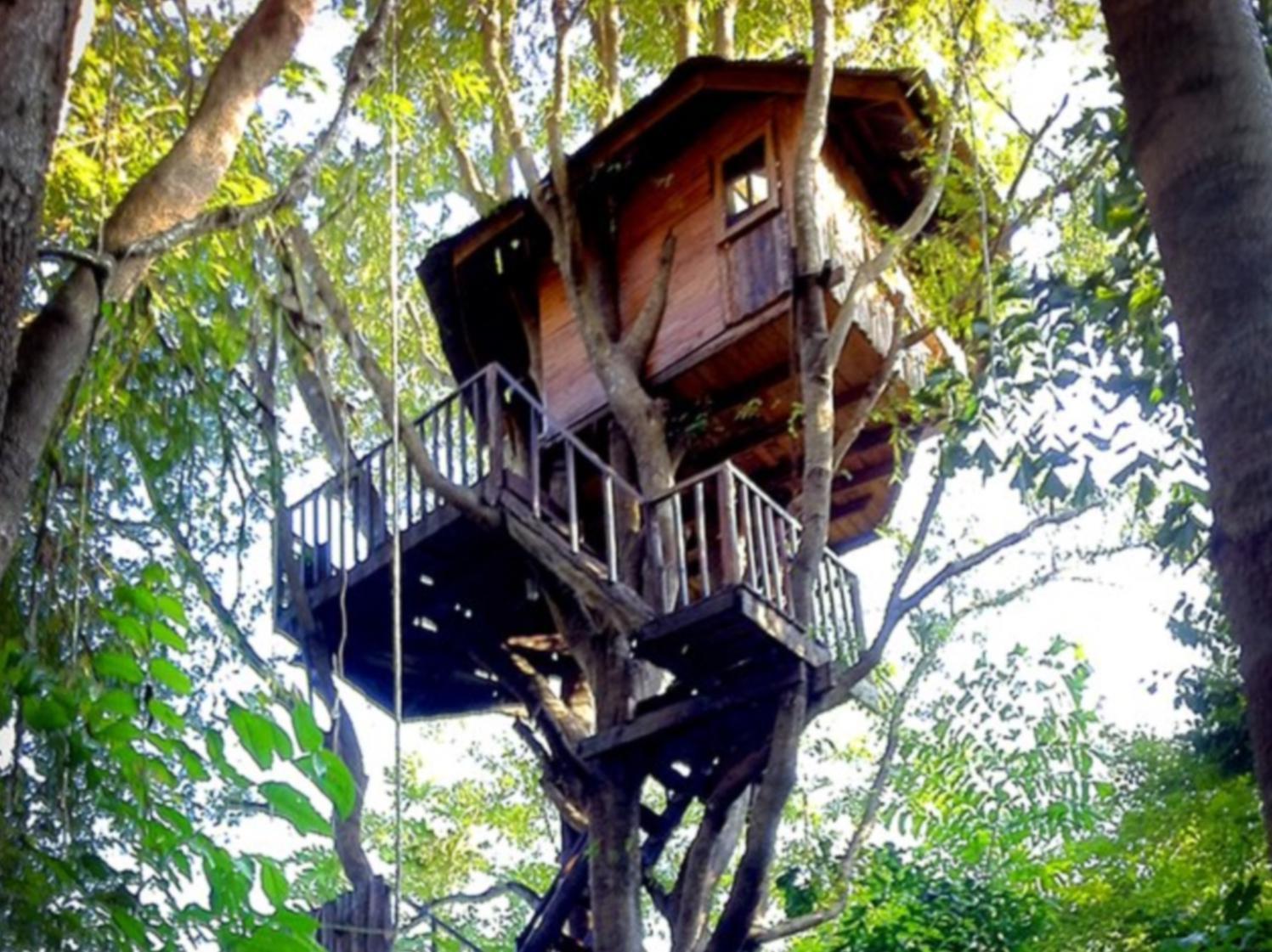 Rabeang Pasak Tree House Resort Chiang Mai Dış mekan fotoğraf