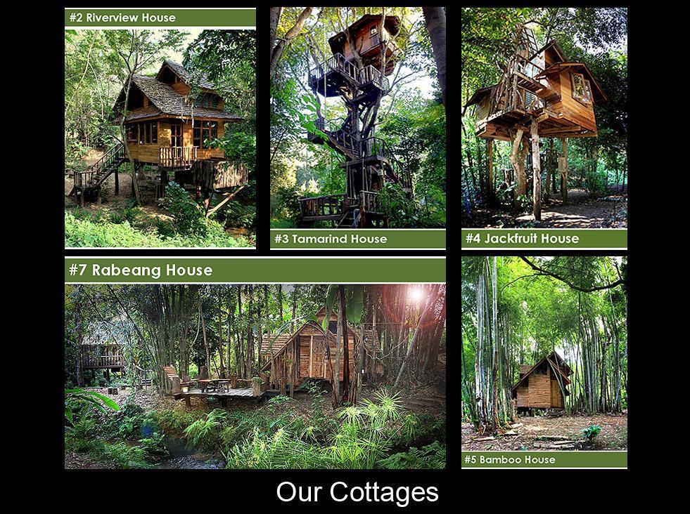 Rabeang Pasak Tree House Resort Chiang Mai Dış mekan fotoğraf